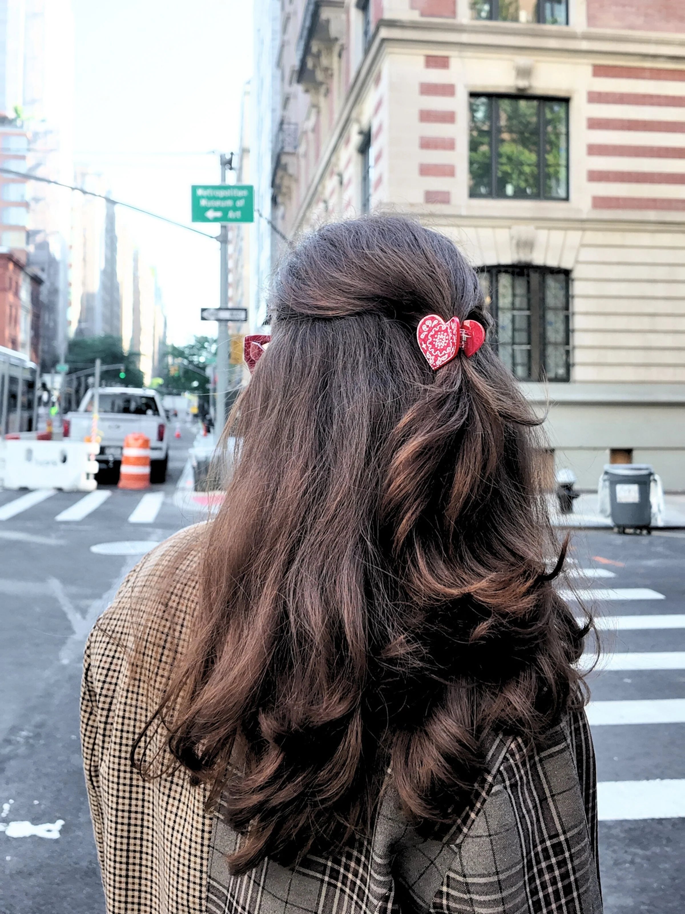 Solar Eclipse Mini Paisley Heart Claw Hair Clip