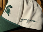 Michigan State Stretch Trucker Hat