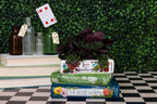 Alice/Wind in the Willows/The Secret Stacked Planter