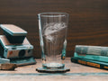 Benoit's Design Co. Trout Drinking Glass 16oz
