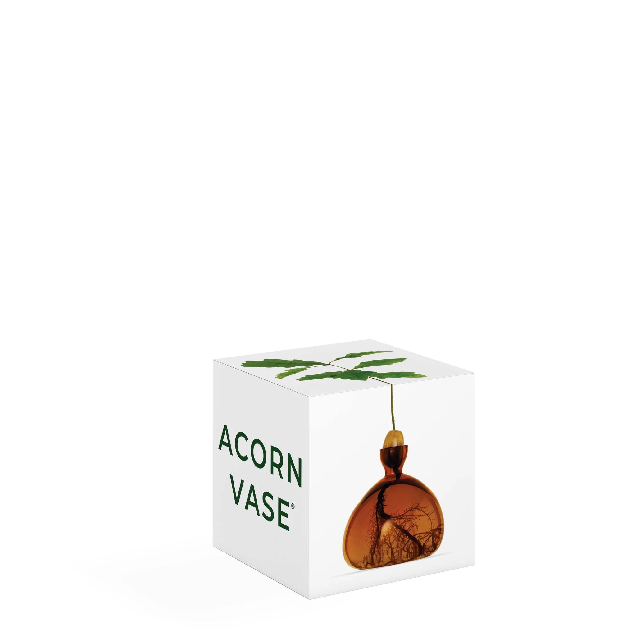 Acorn Vase