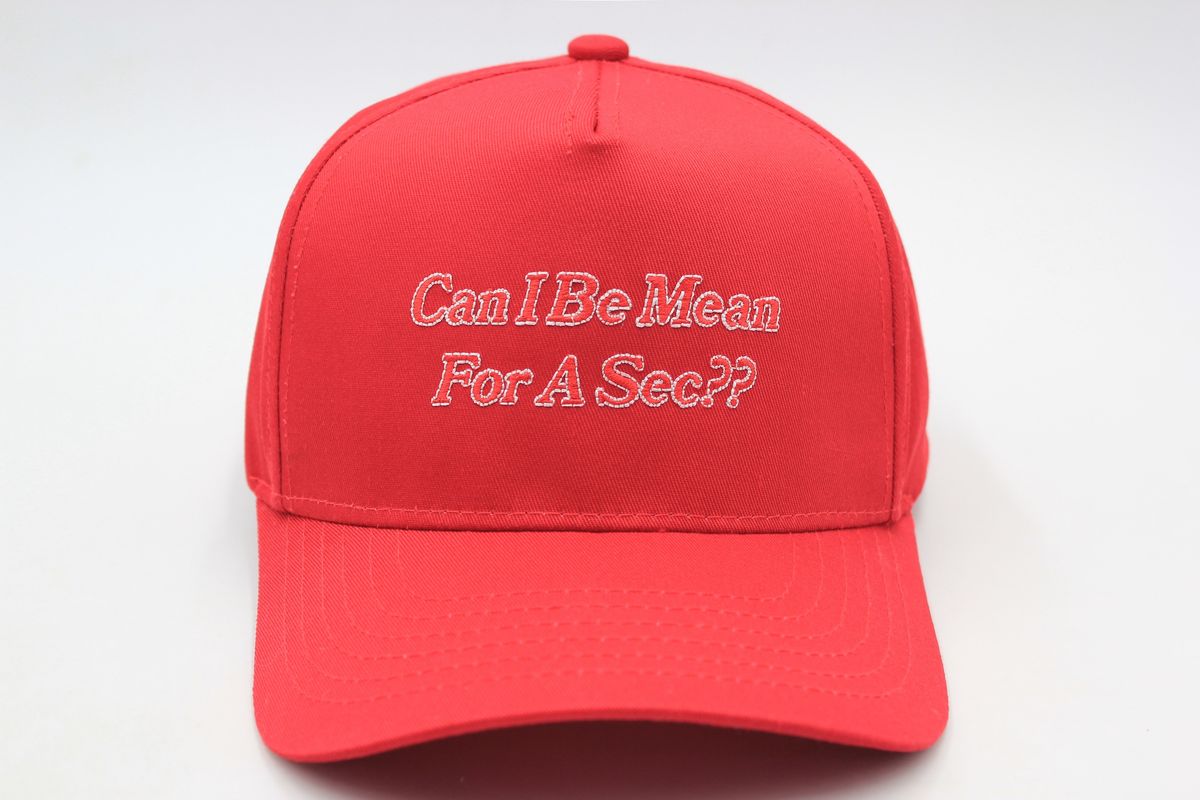 Can I Be Mean Snapback Hat