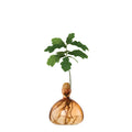 Acorn Vase