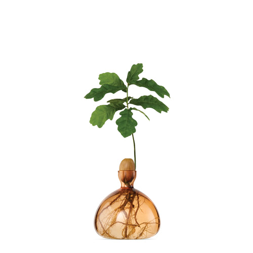 Acorn Vase